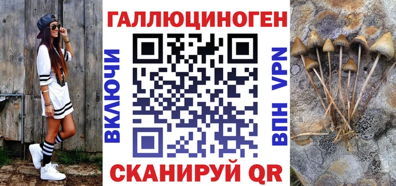 Галлюциногенные грибы Psilocybine cubensis  Миасс 